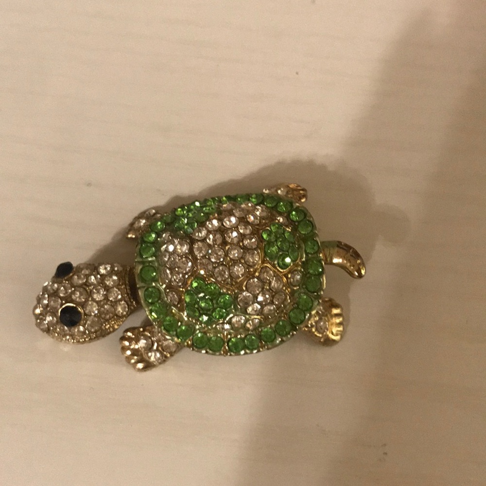 Crystal encrusted turtle